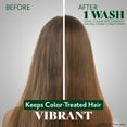 thumbnail image 3 of Herbatint Color Safe Shampoo for Color-Treated, Normal Hair - Aloe Vera to Rebalance, Strengthen, & Add Shine - No Parabens, Silicones & Gluten - 8.8 Fl Oz, 3 of 7