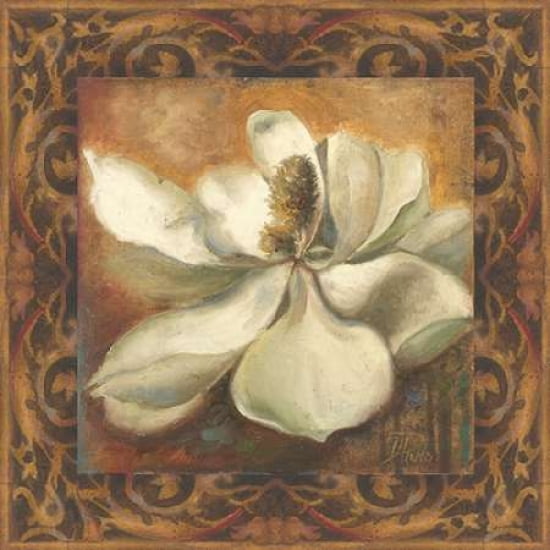 Magnolia Canvas Art - Patricia Pinto ()