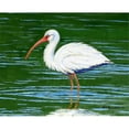 thumbnail image 1 of Betsy Drake DM378 Tapis de Porte Ibis Blanc, Petit, 1 of 4