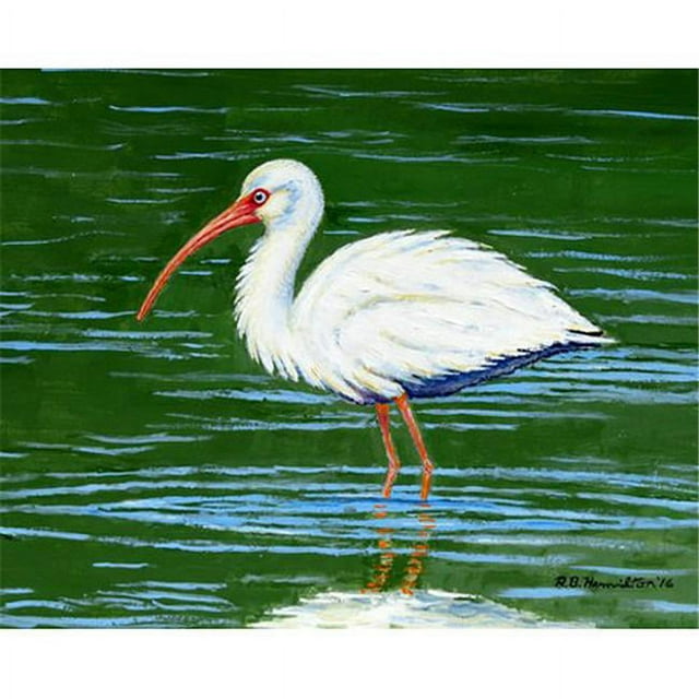 Betsy Drake DM378 Tapis de Porte Ibis Blanc, Petit