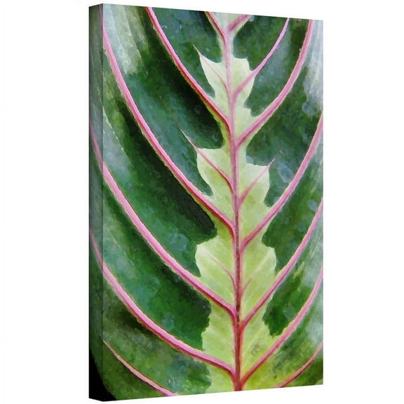 Dean Uhlinger "Exotic Angel" Gallery-Wrapped Canvas