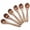 6Pcs  13.5cm Set, variant on Small Wooden Teaspoon, 6pcs Serving Wooden Utensils For Cooking, Condiments, Honey, Spoons For Daily Use