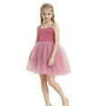 thumbnail image 1 of FYDUU Robe Tutu pour Tout-Petit Robe Tutu pour Bébé Fille Robes pour Nourrisson Fille Robes Princesse Sans Manches Robe Décontractée pour Filles pour 4-5 Ans, 1 of 7