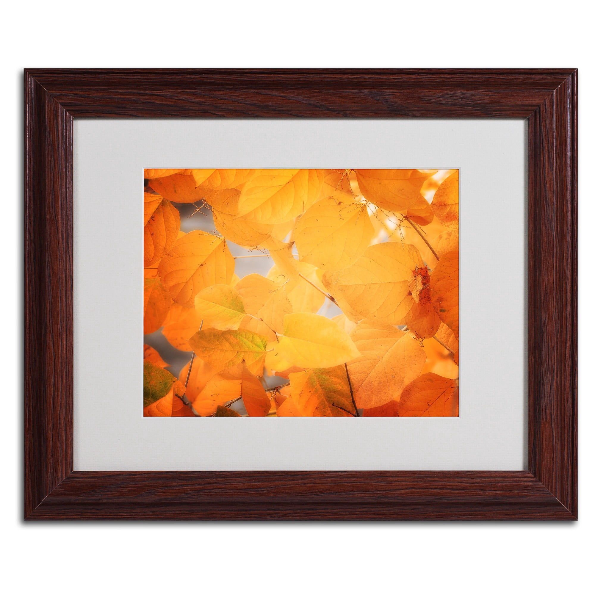 Trademark Fine Art "Seasonal Leaves" Canvas Art by Philippe Sainte-Laudy, Wood Frame