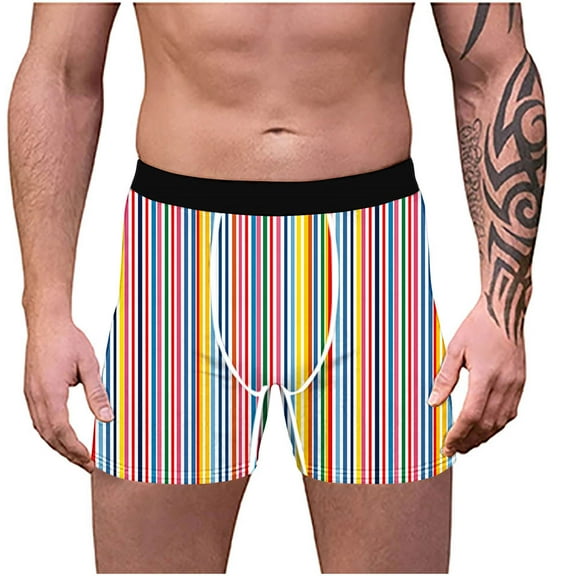 Arnsht Colorful Striped Print Funny Mens Underwear Boxer Briefs Soft Comfort Breathable Elastic Waist Bottom Panties Multicolor L