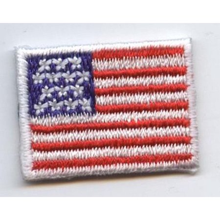 Mini American Flag 1