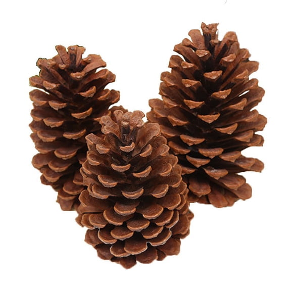3 PCS Pine Cones 3.5"/4.7" Tall Christmas PineCones Giant Large Natural PineCones for Home Accent Decor