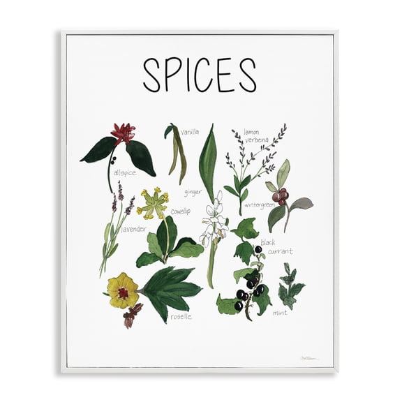 Stupell Industries Traditional Spices Identification Chart White Framed Giclee Art, 11 x 14, by Carol Robinson