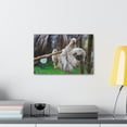 thumbnail image 3 of Majestic Sloth Art Majestic Sloth Print Animal Wall Art Wildlife Canvas Prints Wall Art Ready to Hang Unframed, 3 of 19