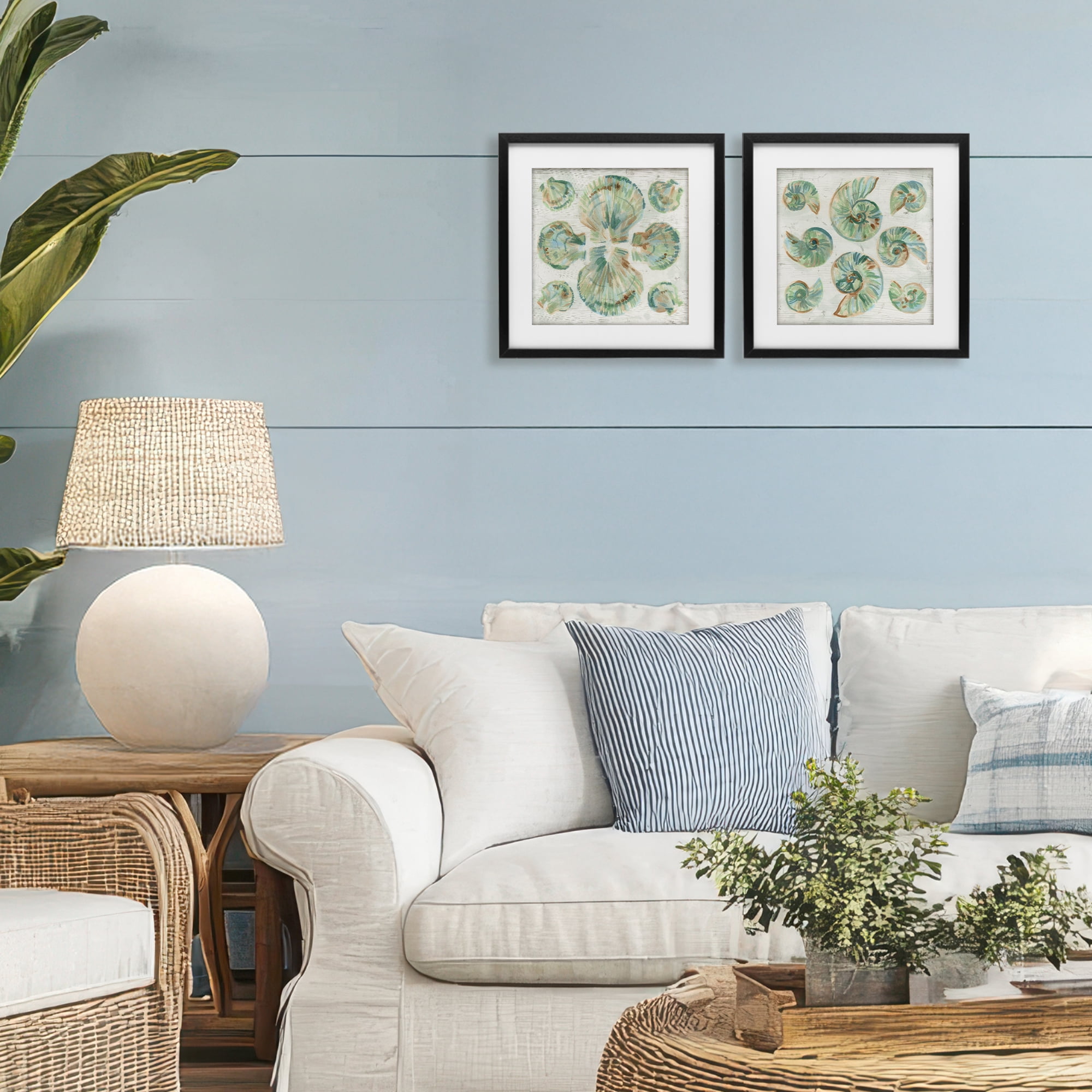 Stupell Industries Saltwashed Seashells Pattern 2 Piece Black Framed Print Under Glass Set, design by June Erica Vess