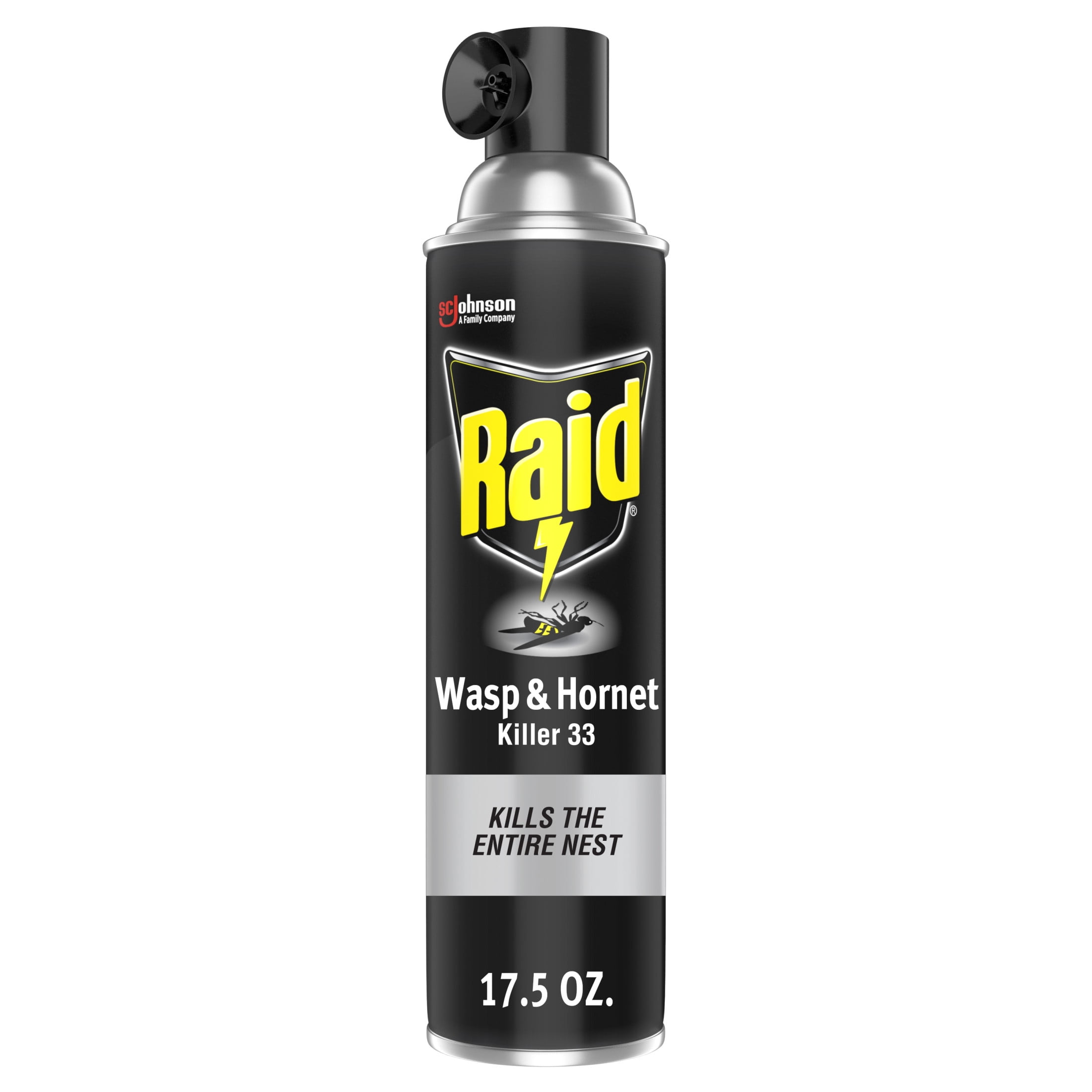 Black Flag Spider & Scorpion Killer 16 oz Aerosol Spray - Walmart.com