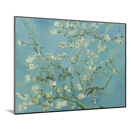 Almond Blossom, 1890 Turquoise Flower Branches Wood Mounted Print Wall Art By Vincent van Gogh