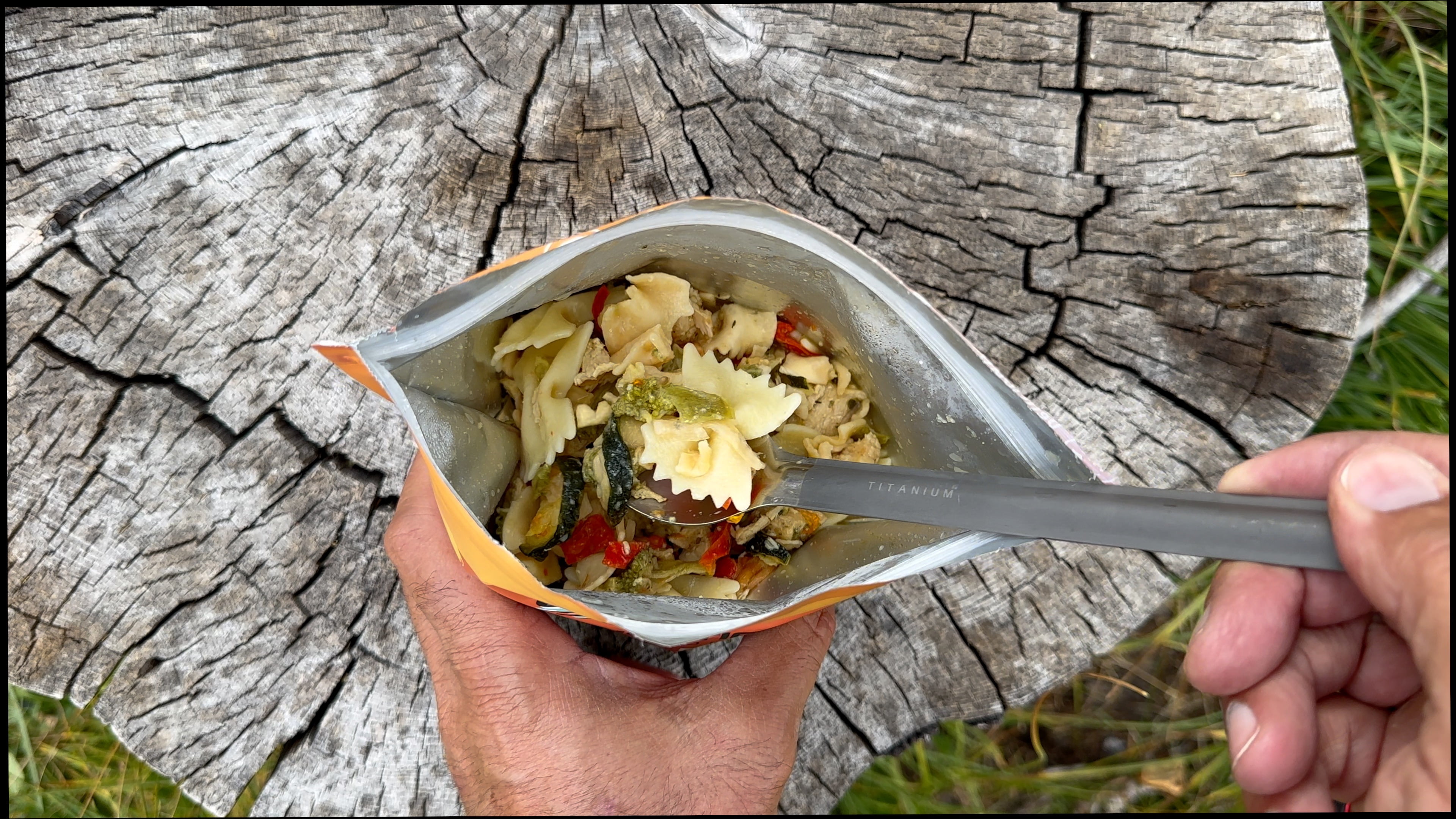Foundation Outdoors Chicken Pasta Primavera, Freeze Dried Backpacking & Camping Food, Emergency Food, High Protein Meal