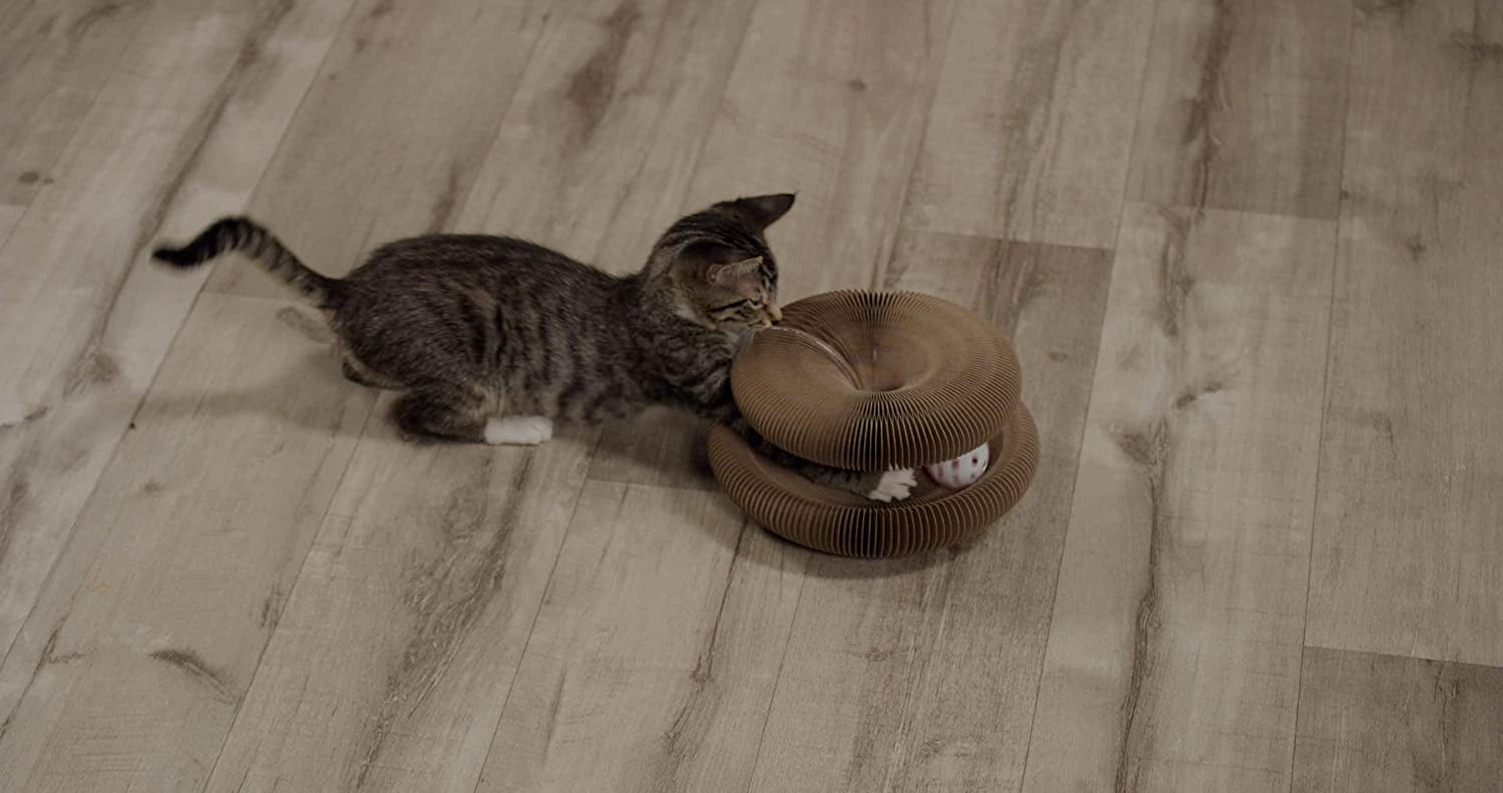 PAWtastic Kitty Round N Round Foldable Cat Toy, Made with Recycled Carboard