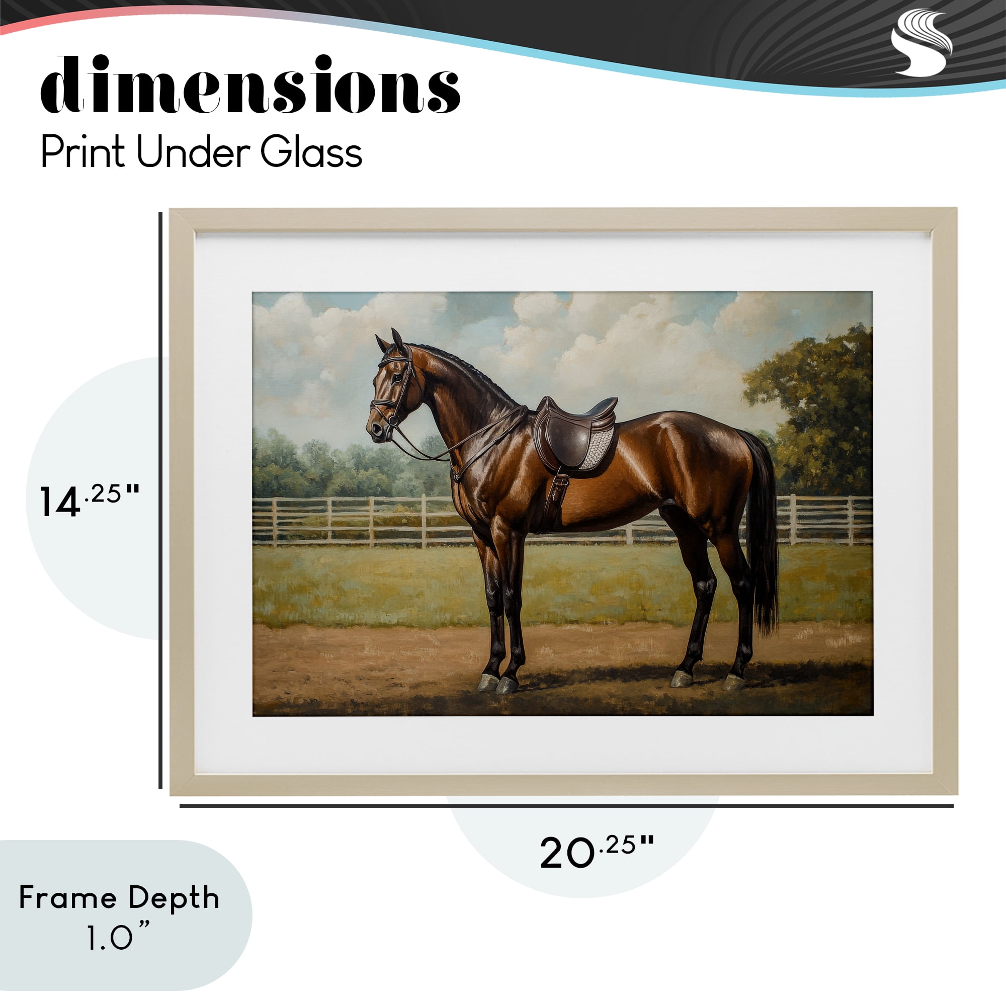 Stupell Industries Saddled & Ready For The Show Birch Framed Print Under Glass, design by Petal Prints Design
