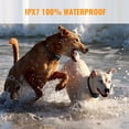 thumbnail image 3 of Collar de adiestramiento para perros Petrainer Advanced recargable a prueba de agua, 3 of 6