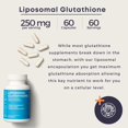 thumbnail image 4 of Suplemento BodyBio Glutatión Liposomal 60 cápsulas, 4 of 6