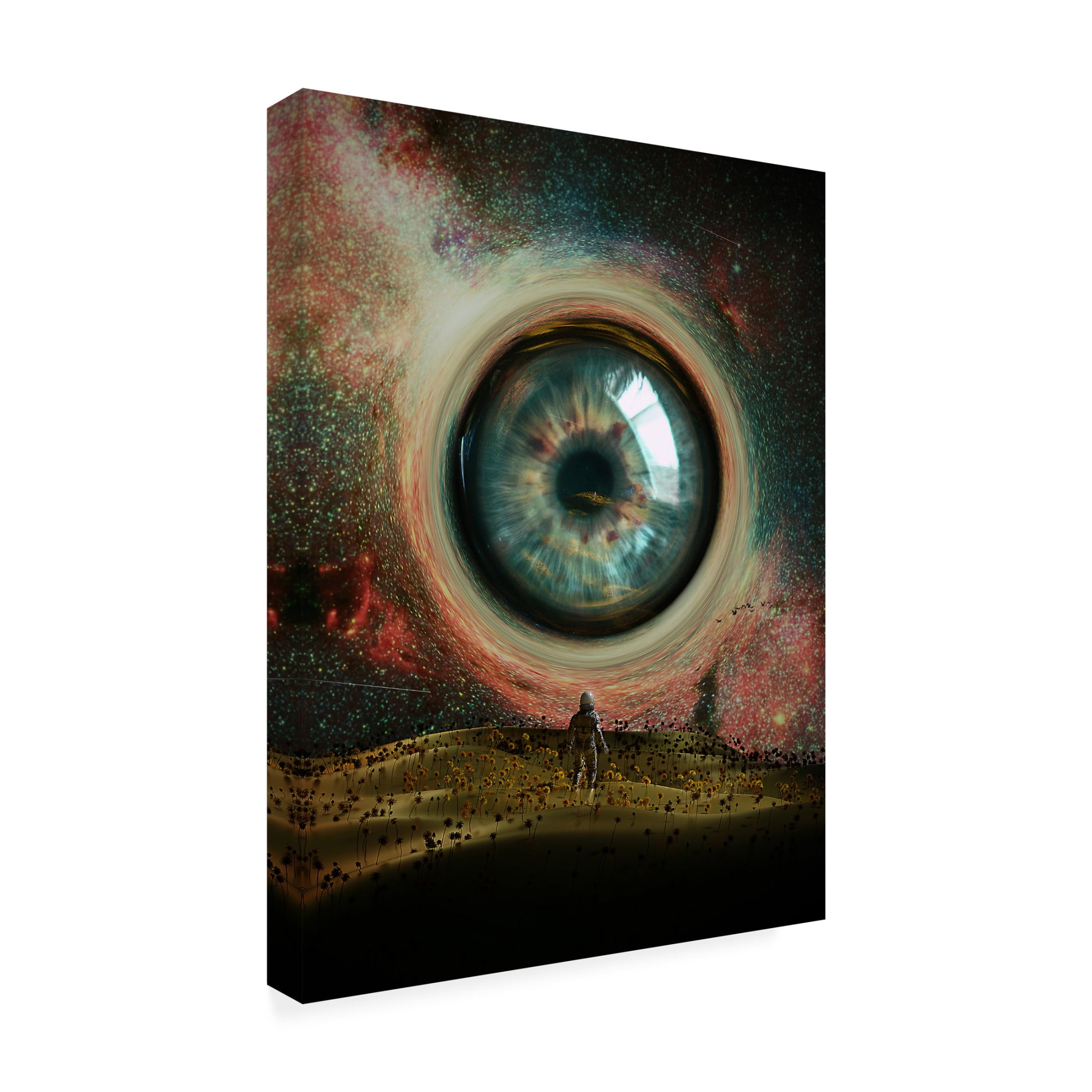 Canvas Wall Art - Francis Minoza 'Eye' Wall Art for Living Room, Bedroom, or Office D?cor by Trademark Fine Art - 14 x 19 Inches