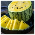 thumbnail image 5 of Everwilde Farms - 40 Yellow Crimson Watermelon Seeds - Gold Vault Seed Packet, 5 of 5