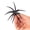Black, variant on Berkley PowerBait® MaxScent 'Moeba, 3.5 in, Creatures, Bloodshot (1-count)