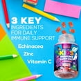 thumbnail image 2 of Kids Immune Support Supplement Gummies - Daily Childrens Vitamins C, Zinc & Echinacea - Gummy for Kids Immune Support, Ages 4 and Up, Natural Berry Flavor, Non-GMO, Gluten-Free & Vegan - 120 Gummies, 2 of 9