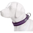 thumbnail image 3 of HAHDAXIA - Premium Dog Collar - Neoprene Padded, Reflective Dog Collar for Large, Medium, and Small Size Dogs, XS Purple, 3 of 4