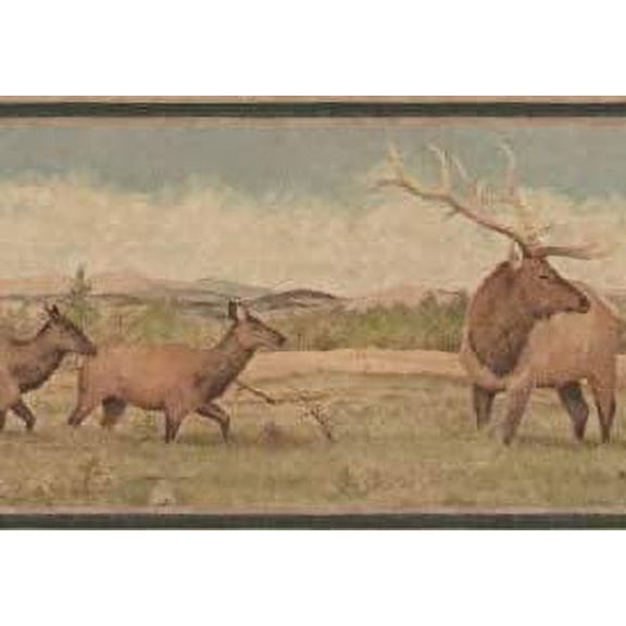 Concord Wallcoverings Wallpaper Border Nature Pattern Wild Animals Deer Mountain for Cottage, Green Brown Light Blue Cream, 9.25 Inches by 15 Feet RST2433
