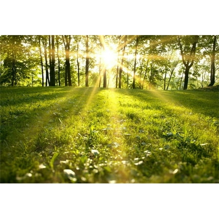 greendecor polyster 7x5ft nature