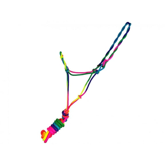 Pony Size Bright Multicolor Ombre Cowboy Knot Rope Halter w/ Lead