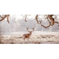 thumbnail image 2 of Frank, Assaf 18x11 Gold Ornate Wood Framed with Double Matting Museum Art Print Titled - Stag in a field, 2 of 4