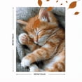 thumbnail image 3 of Qisvanset Cute Ginger Kitten Sleeping Canvas Wall Art 15.75x11.81 Inches, 3 of 8