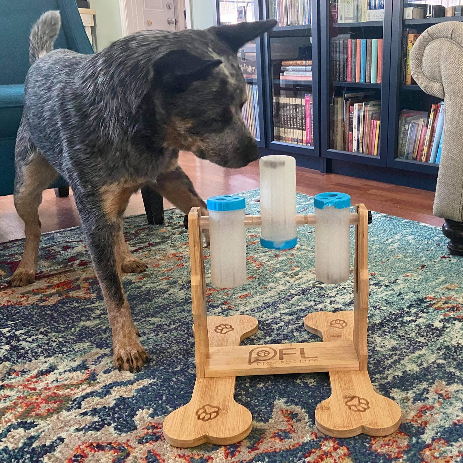 Interactive Dog Feeder Puzzle Toy IQ Training Treat Toys for Dogs