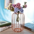 thumbnail image 3 of Blantye Nordic Lantern-Shaped Wrought Iron Vase Glass Iron Tabletop Flower Vase, 3 of 8