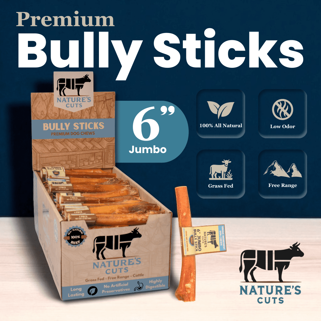 6" Jumbo Bully Sticks Display Box (60 ct) with Individual UPC Tags - 100% All Natural Beef