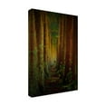 thumbnail image 4 of Rui Caria 'Forest' Canvas Art, 4 of 4