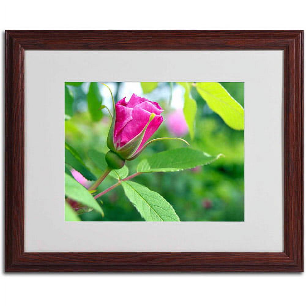 Trademark Fine Art "Unfolding Transformation" Canvas Art by Monica Fleet, White Matte, Wood Frame