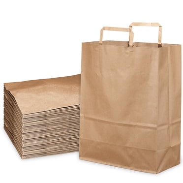 10x12x6.75 White Paper Gift Bags With Handles, Brown Kraft Style, Set Of Assorted