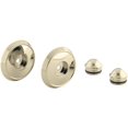 thumbnail image 1 of KOHLER K-349-AF Forte/Bancroft Slide Bar Trim Kit, Vibrant French Gold, 1 of 1