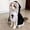 M, variant on Halloween Pet Nun Costume for Cats and Dogs, Funny Pet Halloween Outfit with Hood, Puppy Kitten Cosplay Clothes for Halloween Party Dress Up Holiday Photo Props Small Medium Pets