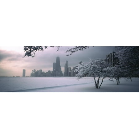 Snow Covered Tree at North Avenue Beach, Chicago, Illinois, USA Print Wall