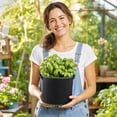 thumbnail image 4 of Container Garden, 2.5 Gallon Fabric Grow Bags, Outdoor Herb Garden Planter, Double Green Stitching Dual Handles 10X8 Inch Growing Bag, Lightweight Tear Resistant Non-Woven, 4 of 6