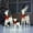 Silver, variant on SalonMore Lighted Outdoor Christmas Decoration for Yard,3-Piece Deer Family Set with Lights