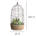 thumbnail image 2 of CTW Home Collection 10” x 10” x 18.5” Brown Metal Chicken-Wire Cloche and Terra Cotta Pot & Planter, 2 of 3