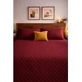 thumbnail image 1 of Edredón Ligero Matrimonial / Queen Size Doble Vista Con Fundas de Almuadas Tinto - Champan, 1 of 1