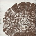thumbnail image 2 of Murdock, Ramona 12x12 Black Ornate Wood Framed with Double Matting Museum Art Print Titled - Tree Rings III, 2 of 4