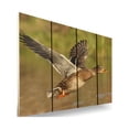 thumbnail image 5 of Day Dream MM2216 22 x 16 in. Majestic Mallard Inside & Outside wood Wall Art, 5 of 7