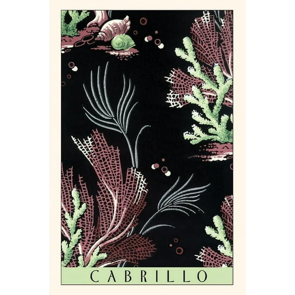 Pocket Sized - Found Image Press Journals: Vintage Journal Cabrillo, Kelp Beds (Paperback)