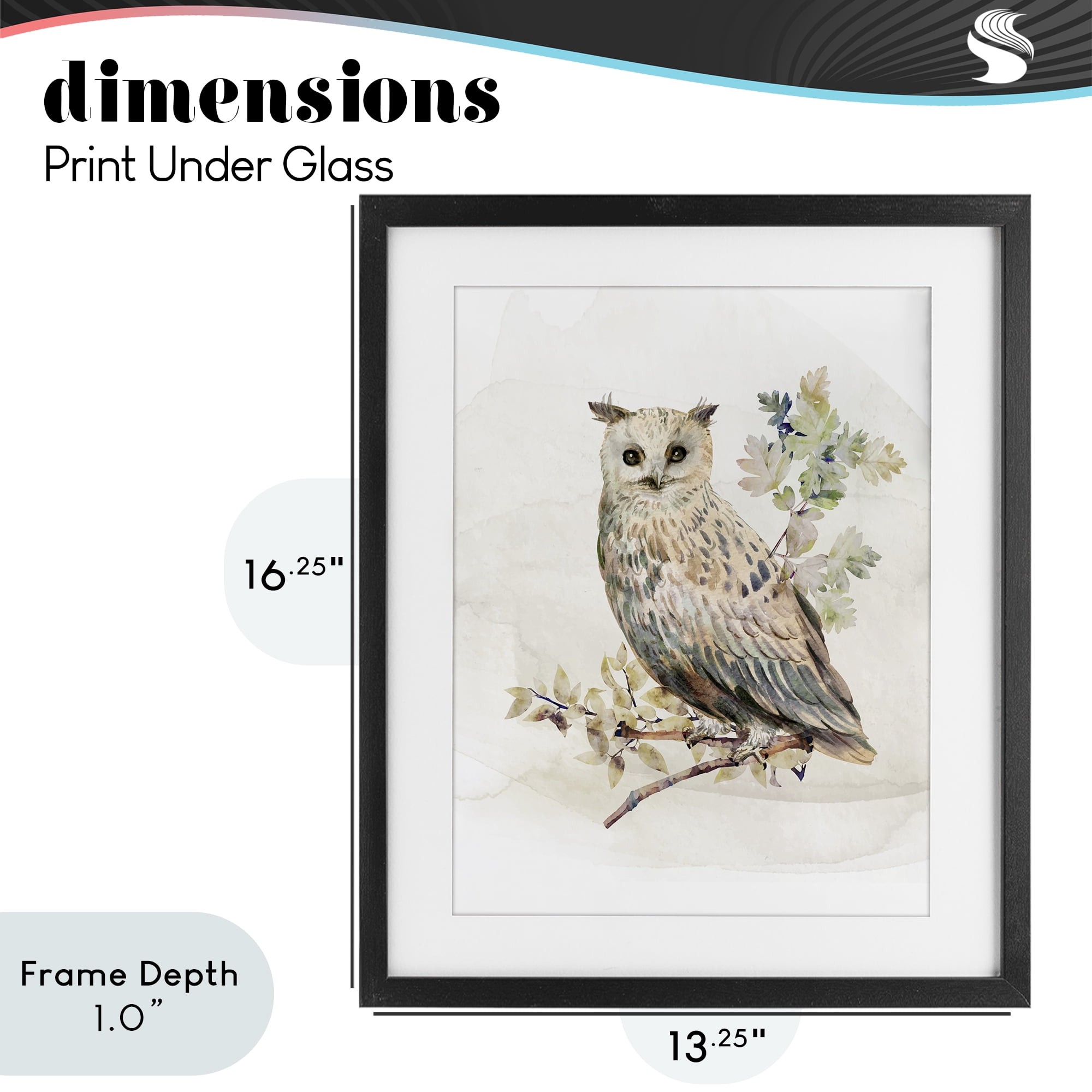 Stupell Industries Forest Owl with Foliage Black Framed Print Under Glass, design by CAD Designs