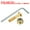 Gold, variant on Uxcell Skateboard Hardware Kit 1" Mounting Screws Hex Head Bolts Nuts Set with Spanner Green