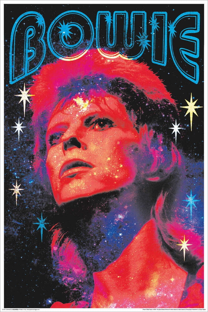 David Bowie Poster 24x36 inch rolled wall poster 